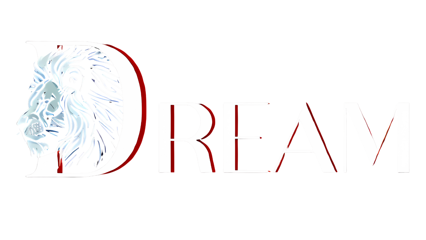 DREAM Finanças